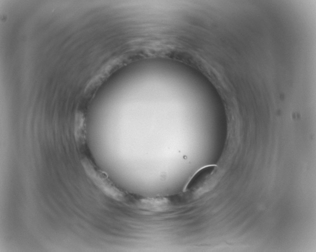 X0000052550480200507221455