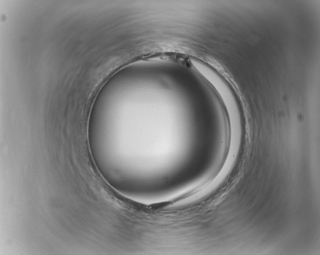 X0000052550481200507221455