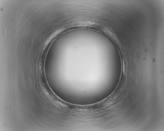 X0000052550483200507221455