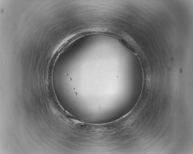 X0000052550484200507221455