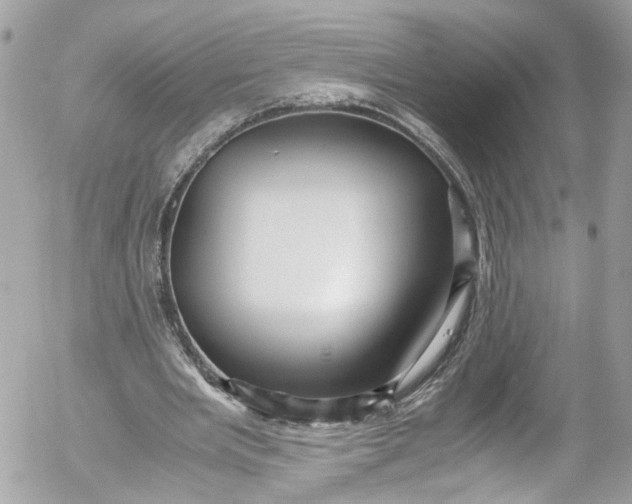 X0000052550485200507221455