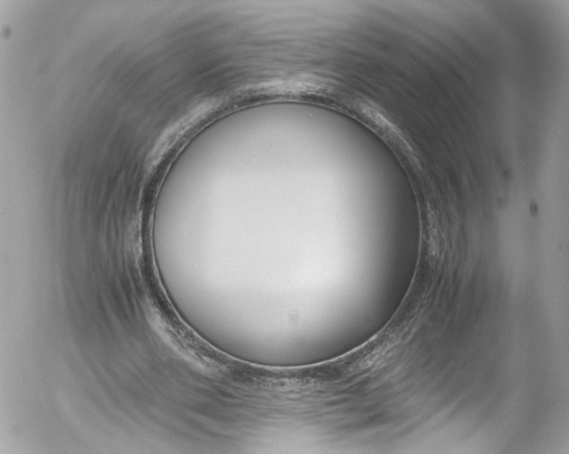 X0000052550486200507221455