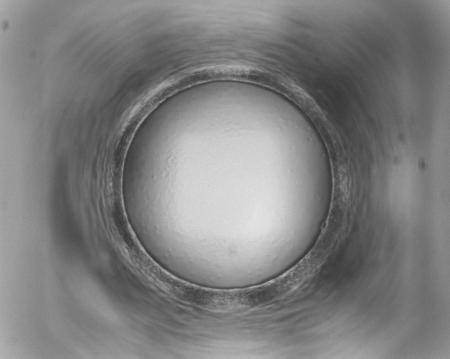 X0000052550487200507221455