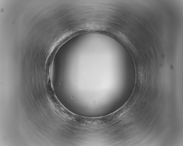 X0000052550488200507221454