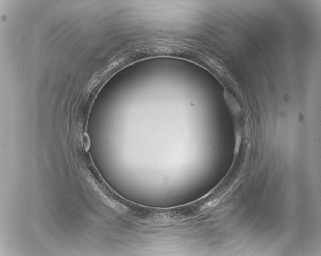 X0000052550489200507221454