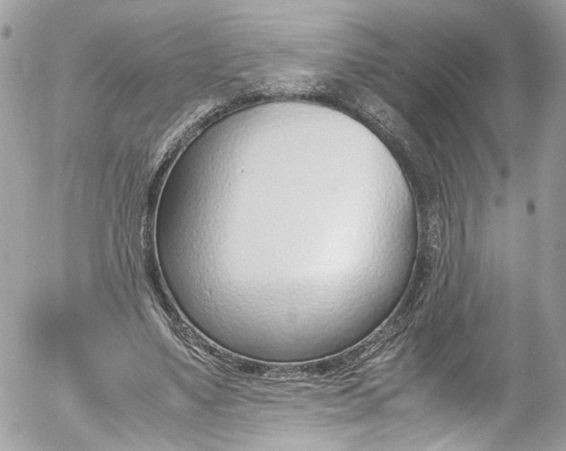 X0000052550491200507221454