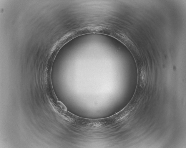 X0000052550492200507221454