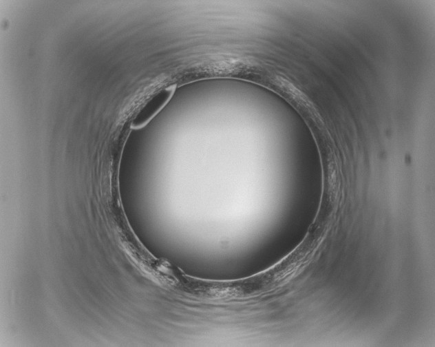 X0000052550493200507221454