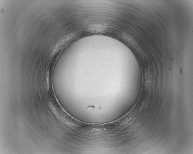 X0000052550494200507221454