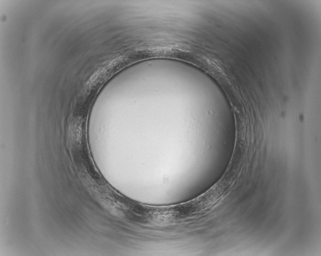 X0000052550495200507221454