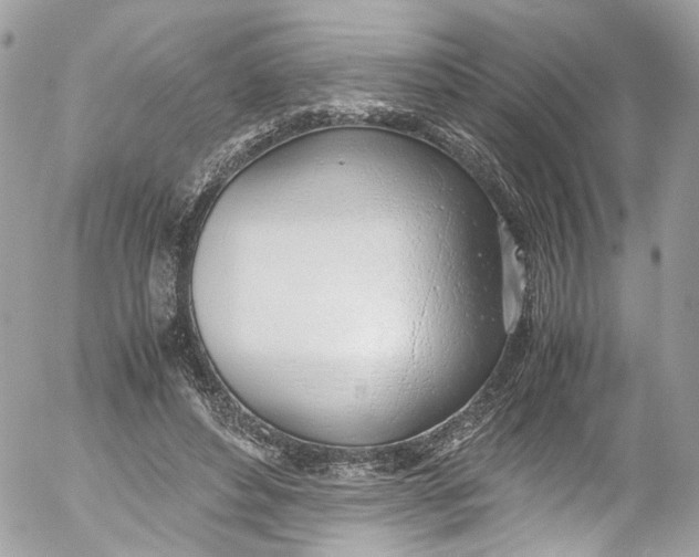 X0000052550496200507221454