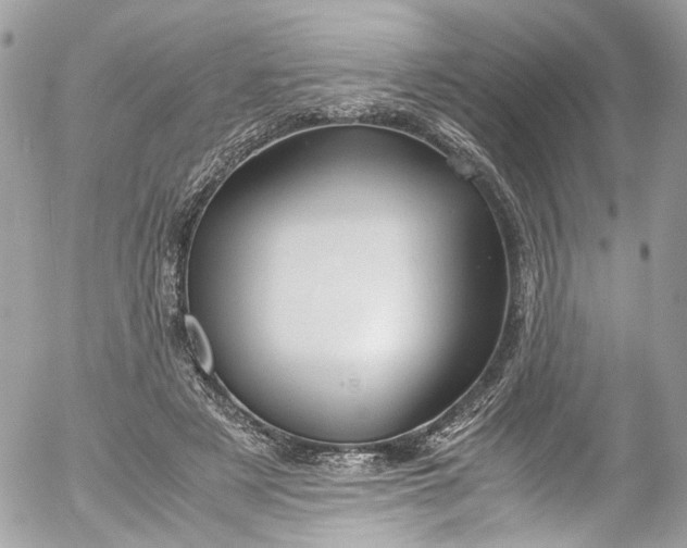 X0000052550497200507221454