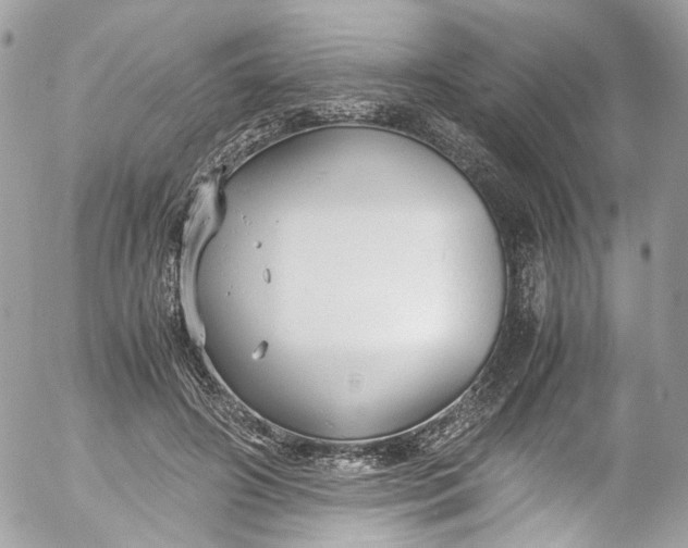 X0000052550498200507221454