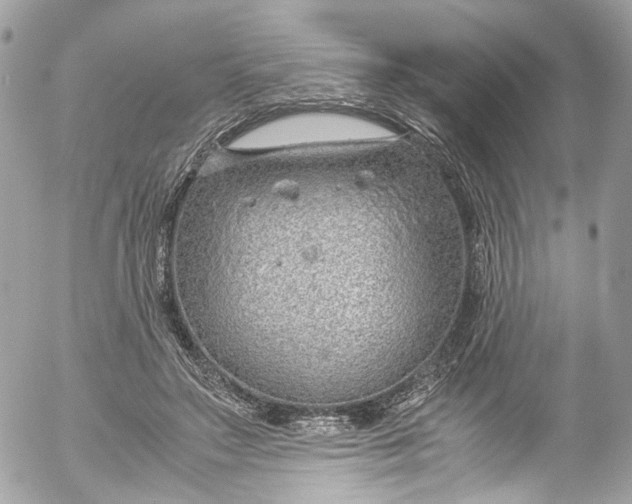 X0000052550499200507221454