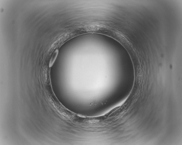 X0000052550501200507221454