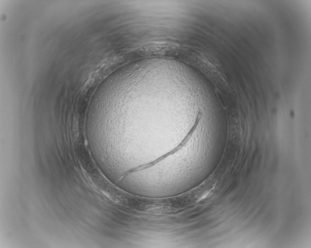 X0000052550504200507221454