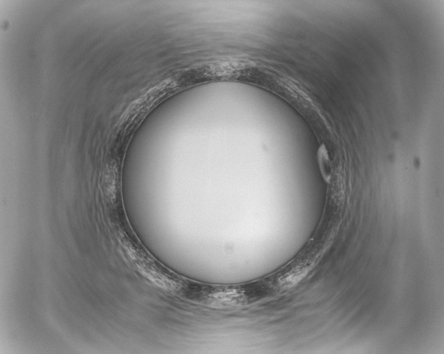 X0000052550505200507221454