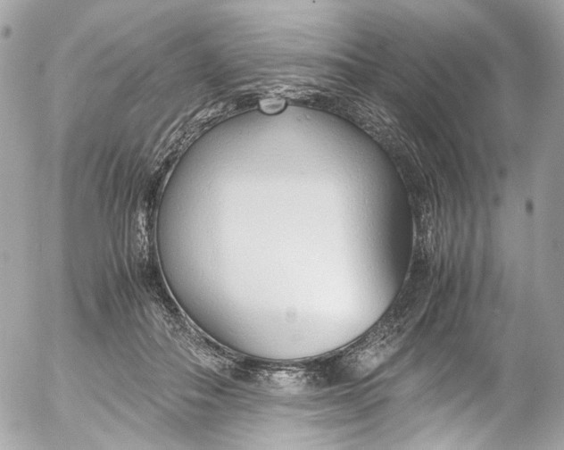 X0000052550506200507221454