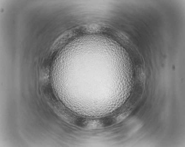 X0000052550507200507221454