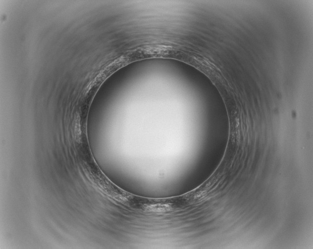 X0000052550508200507221454