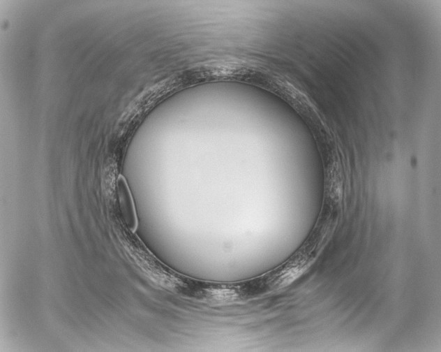 X0000052550509200507221454