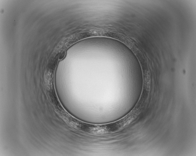 X0000052550511200507221454