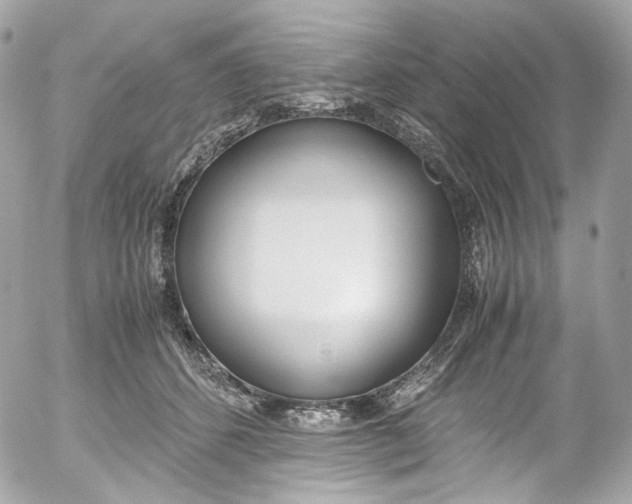 X0000052550512200507221454