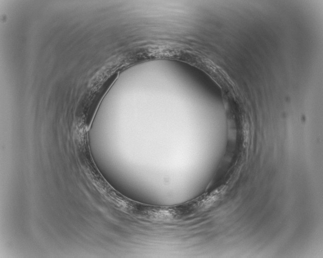 X0000052550513200507221454