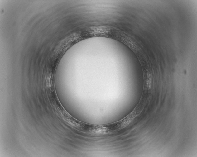 X0000052550514200507221454