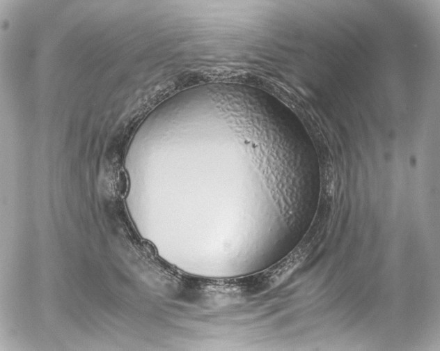 X0000052550515200507221454