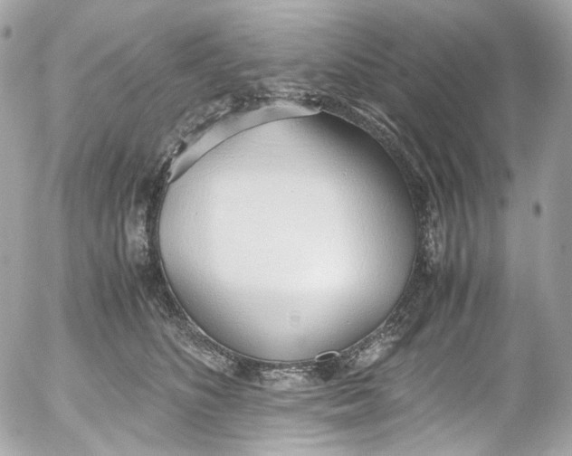 X0000052550516200507221454