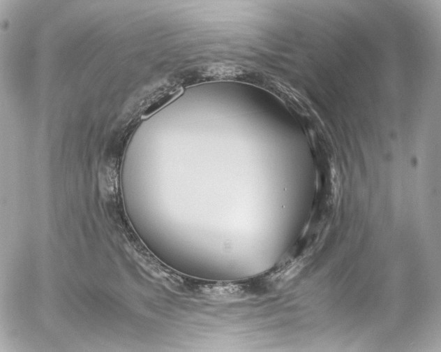 X0000052550517200507221454