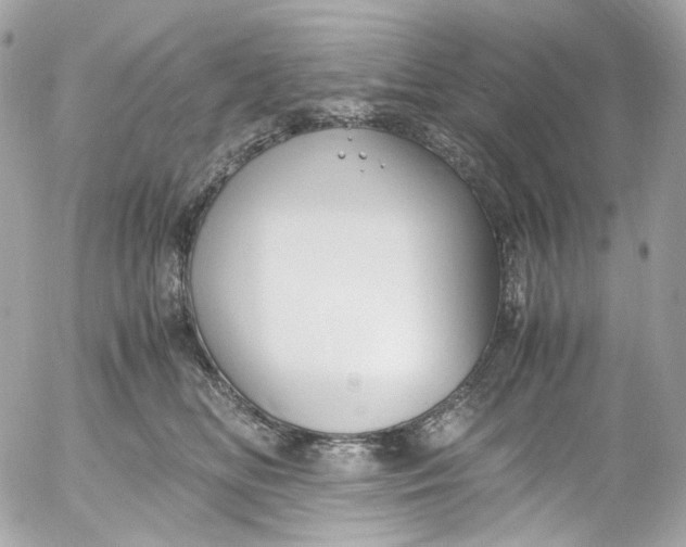 X0000052550518200507221454