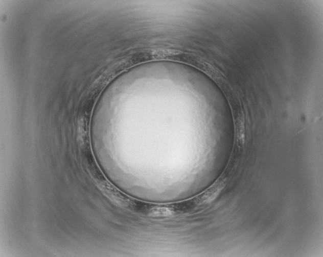 X0000052550519200507221454