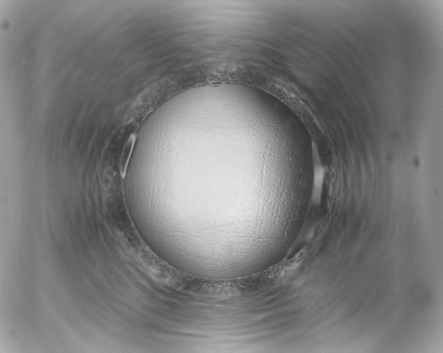 X0000052550520200507221454