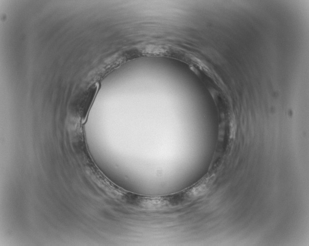 X0000052550521200507221454