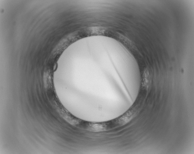 X0000052550522200507221454