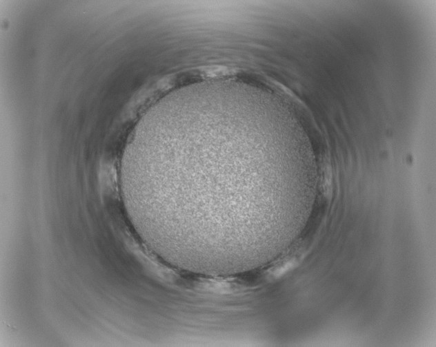 X0000052550523200507221454