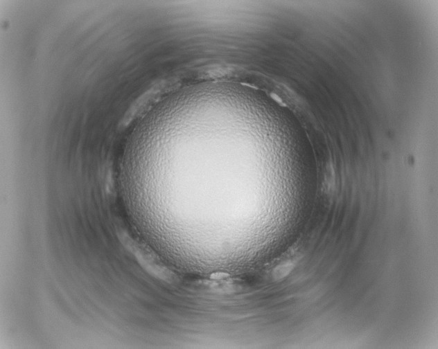 X0000052550524200507221454