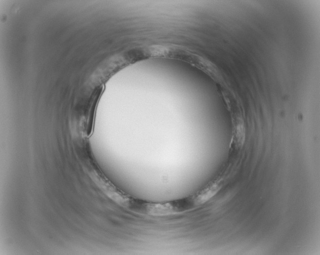 X0000052550525200507221454