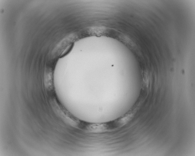 X0000052550526200507221454