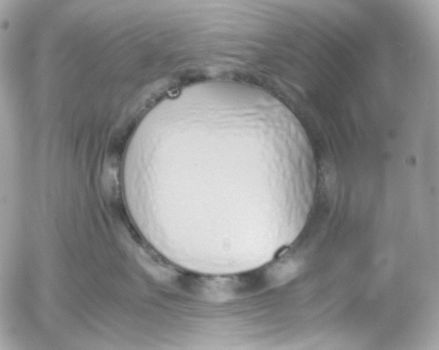 X0000052550527200507221454