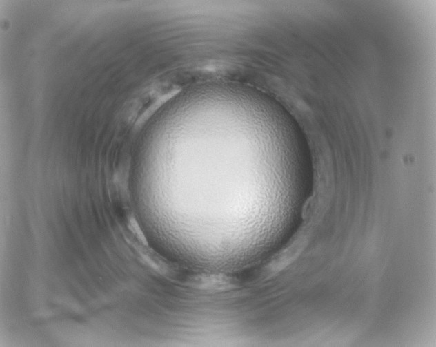 X0000052550528200507221454