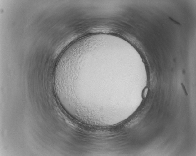 X0000052550529200507221453