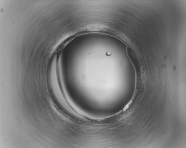 X0000052550530200507221453