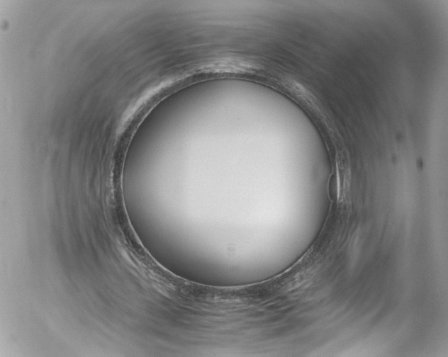 X0000052550531200507221453