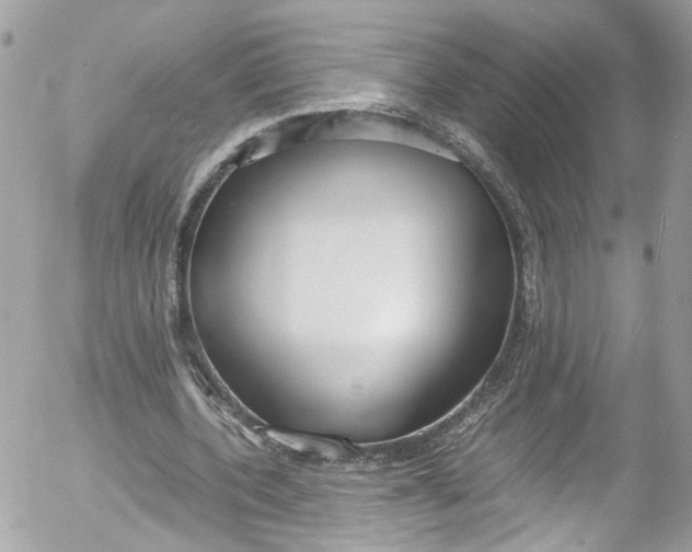 X0000052550532200507221453