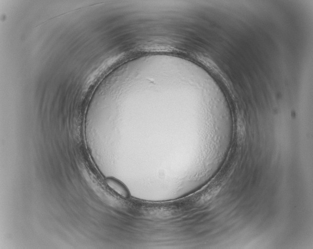 X0000052550533200507221453