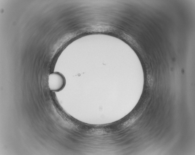 X0000052550534200507221453