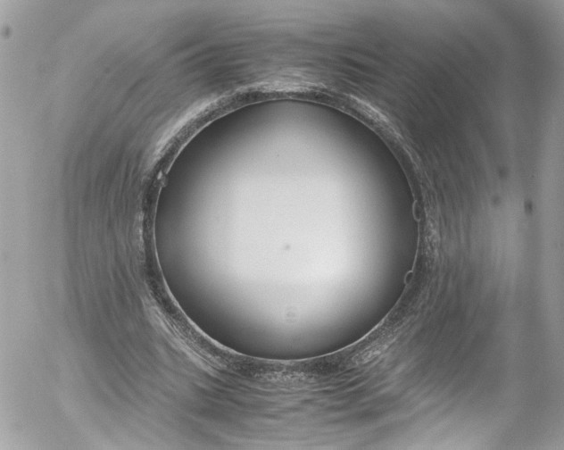 X0000052550535200507221453